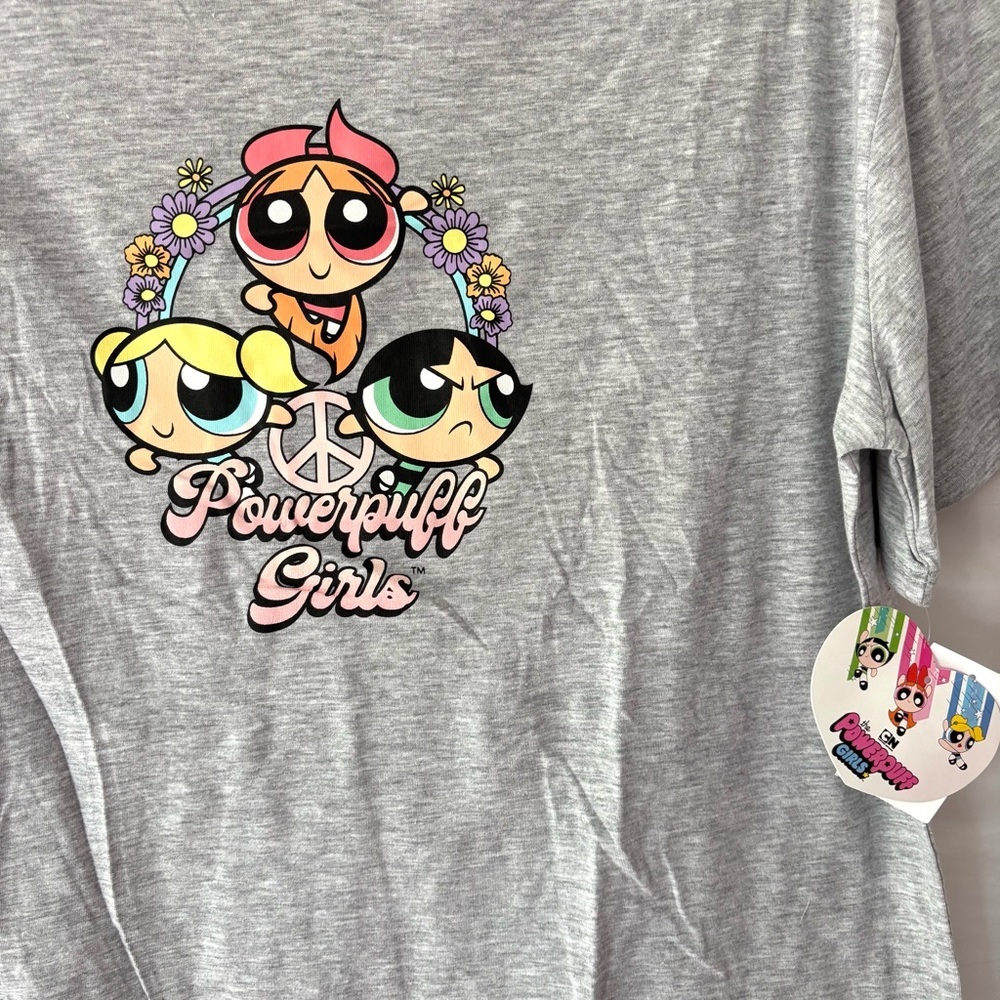 NWT Powerpuff Girls Boyfriend Graphic T-Shirt Gray SZ XXL NWT - Picture 6 of 8